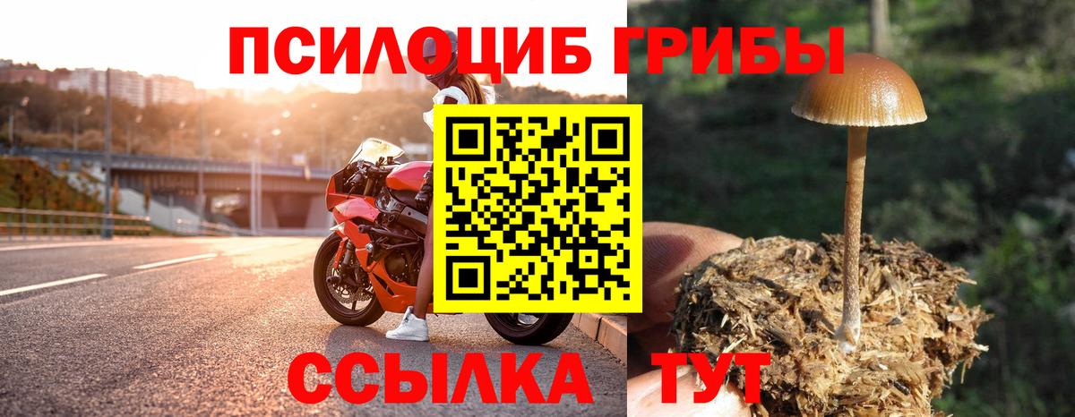Гай  цены наркотик  Вход с VPN  Псилоцибиновые грибы мухоморы 